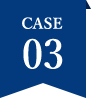 Case03